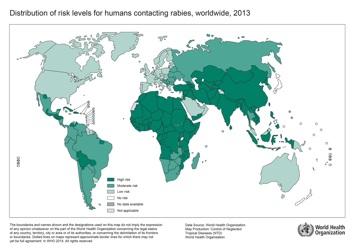 Why Do People Still Die of Rabies?